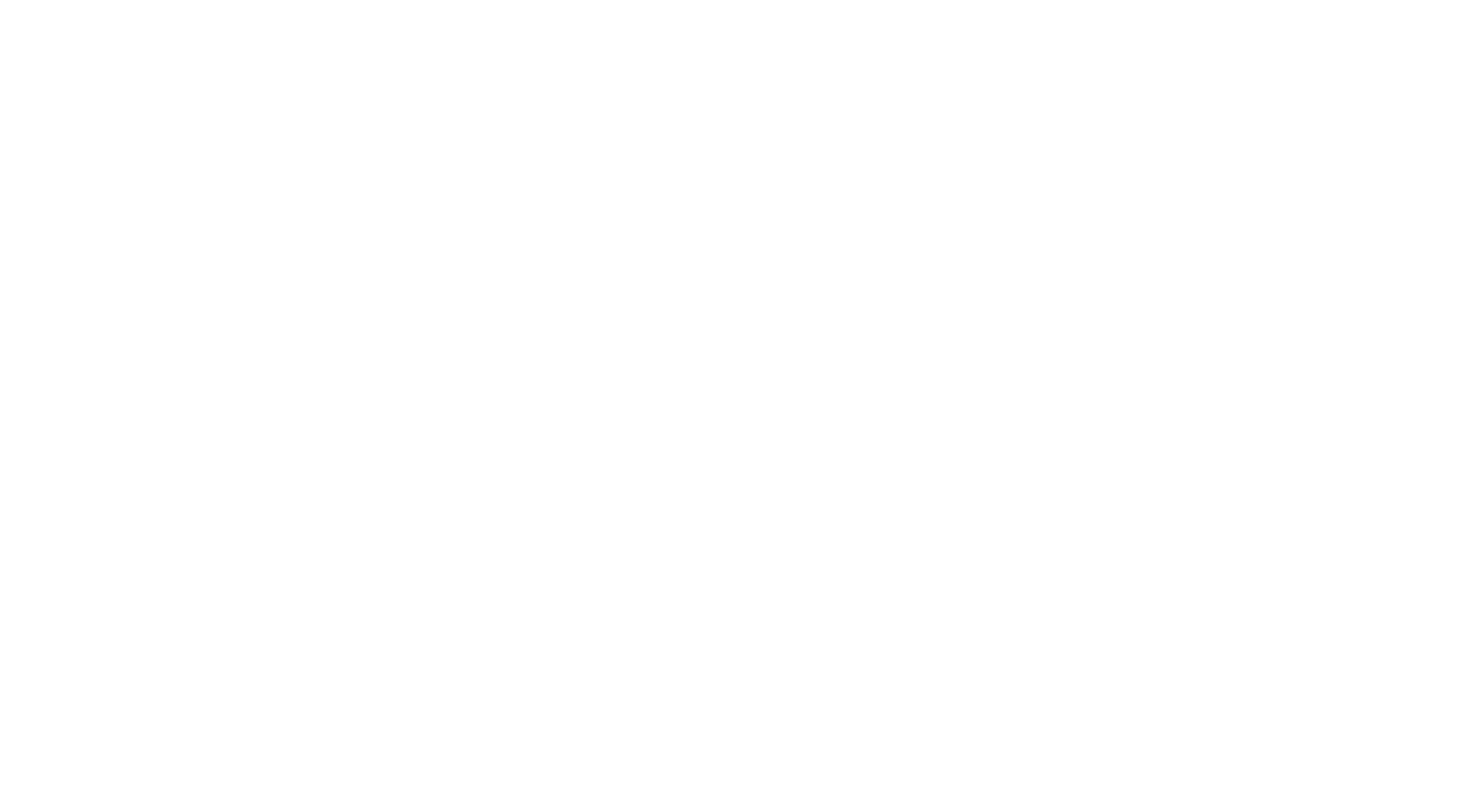 Bordoichila Technologies Logo